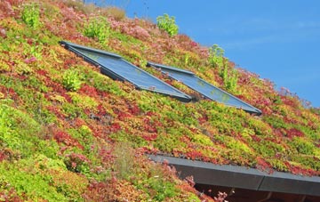 Lydham living roof systems